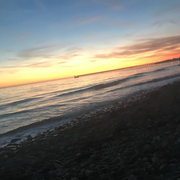 Meet your Posher, Olivia - Picture 1 of 1